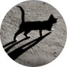 gattocattivo profil fotoğrafı