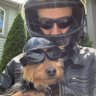 Profilbild von Dave Haughey