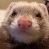 James's profile picture
