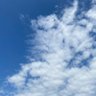 棒棒哒 profil fotoğrafı