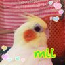 ゆか profil fotoğrafı