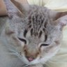Bynho profil fotoğrafı