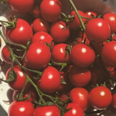 Tviterasica's profile picture