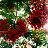 Фото профиля nemuko2