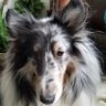 Gaia' s mum profil fotoğrafı