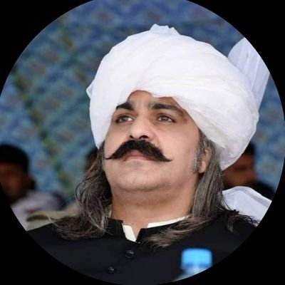 Ali Amin Khan Gandapur's profile picture