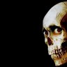 Eduardo's profile picture