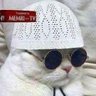 Фото профиля Shitpost☆Supreme