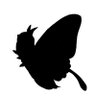 あおちぇ's profile picture