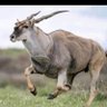 Phillip Matika's profile picture