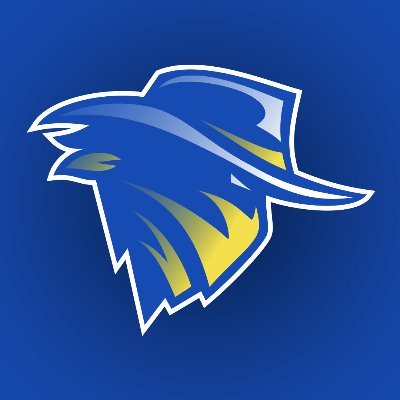 BrisbaneBandits's profile picture