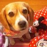 Profilbild von ヒロクン☆彡