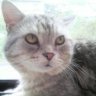 なお's profile picture