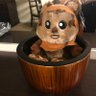 Dr. Ewok 的头像