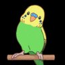 Фото профиля ことちゃん