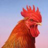 Ahmed Rooster profil fotoğrafı