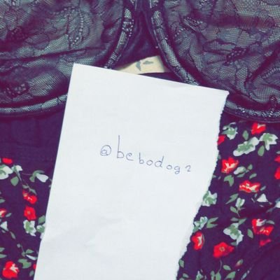 bebodog2's profile picture