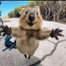 いじゃ~る profil fotoğrafı
