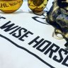 The Wise Horse 的头像