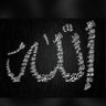 العرب لا يقرأون وإذا قرأوا لايفهموا's profile picture