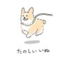 aloe's profile picture