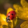 ふみふみ profil fotoğrafı