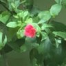 FpHOOL Stop profil fotoğrafı