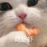 Eric's profile picture