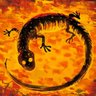 Фото профиля Salamander