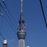 Toshiyuki 的头像