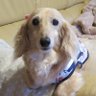 まーさん's profile picture