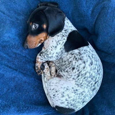 TTIOPPOITT's profile picture