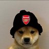Arsednal's profile picture