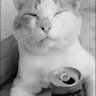 Profilbild von (m_a_r_o_n)