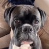 Christopher John's profile picture