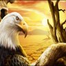 عصام صديق profil fotoğrafı