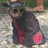 Shawny D. Sabo 的头像