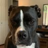 trevor_norris_25's profile picture