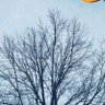 碎碎念基地 profil fotoğrafı