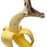 PIYUSH's profile picture