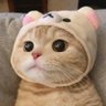 blueちゃん@修行中's profile picture