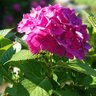 Фото профиля れいんぼ~エイト