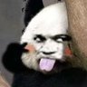 独孤星夜's profile picture