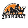 zoomurat profil fotoğrafı