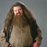 Фото профиля Ginge Hagrid