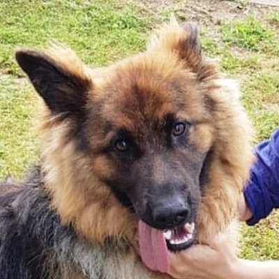 JUJUJU616893's profile picture