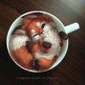 Loenith's profile picture