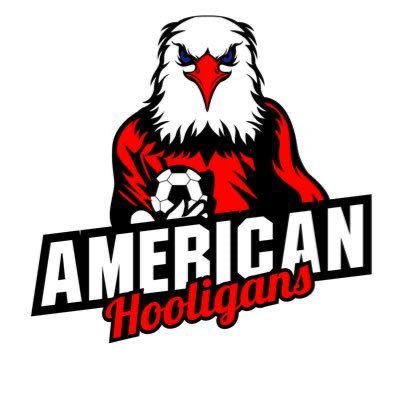 AmericanHoolis's profile picture
