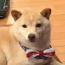 GAWユミ profil fotoğrafı