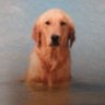 Profilbild von Natgrand78